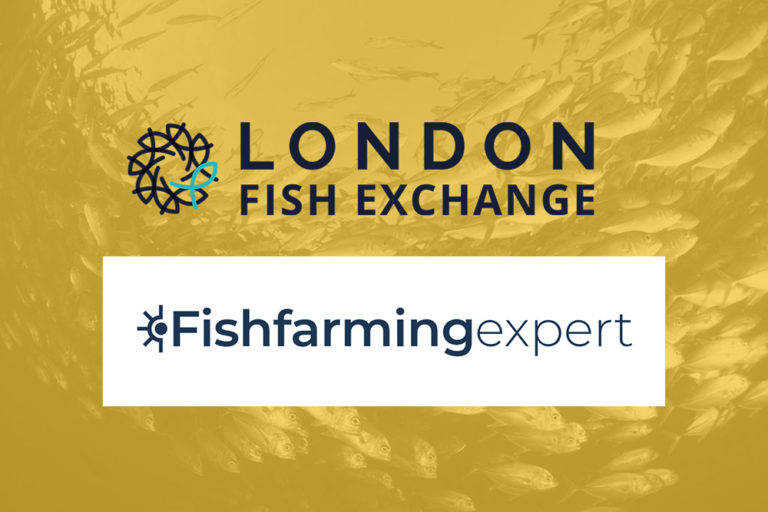 Fish Farming Expert New trading platform launched for Chilean